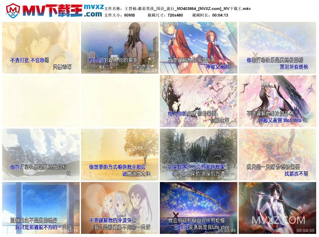 王晋桢-猫系男孩_国语_流行_MD403864